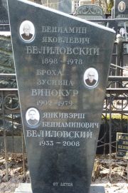 Белиловский Бениамин Яковлевич, Москва, Востряковское кладбище
